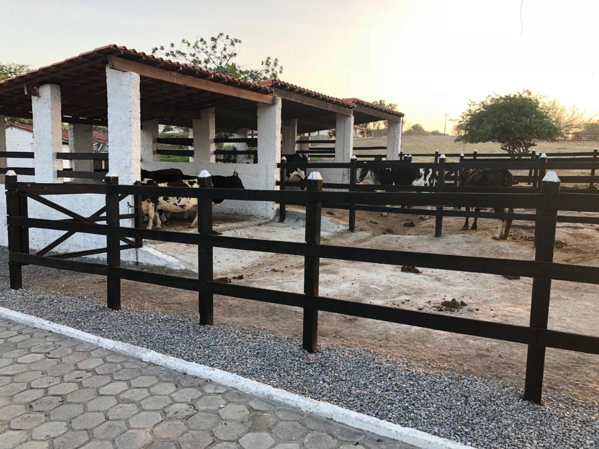 Flat 601 Condominio Villa Hipica - Gravata, Pe المظهر الخارجي الصورة